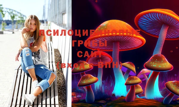 mdpv Кстово