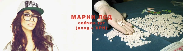 шишки Липки