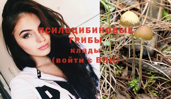 прущие крисы Крымск